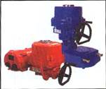 Electric Actuator - Click To Visit Our Website