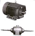 Electric Motors And Machining Tools Polishing/Buffer motor - Click To Visit Our Website