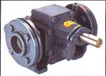 Rotary Gear Pumps - Click To Visit Our Website