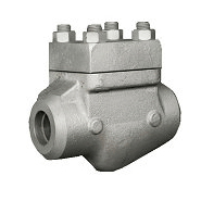 Lift Check Valve